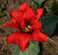 DSC043551124.jpg