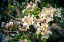 DSC04861.jpg