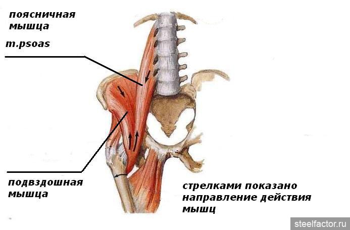 Отвисшая пизда порно (67 фото) - порно и эротика чанган-тюмень.рф