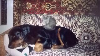 WP_20140727_006.jpg