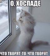 что творят.jpg