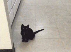 1462257144169854018.gif