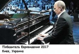 image.jpg