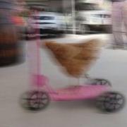image.jpg