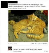 ЖЕНА КИТАЯНКА.jpg