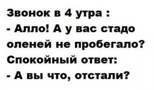 ОЛЕНЬ ОТСТАЛ.jpg
