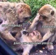 ЕЩЁ 2 ПОДХОДА.jpg