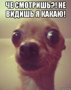 argumentnyy-argument_90861773_orig_.jpg