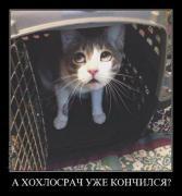 хохлосрач.jpg