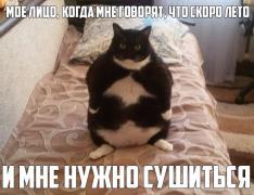 image.jpeg