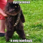 image.jpeg