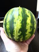 20170521_141805.jpg