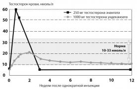 farmakokinetika-testosterona-enantata-i-testosterona-undekanoata.jpg