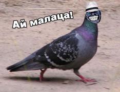 IMG_6948.JPG