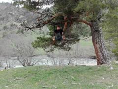 IMG_20170507_121932.jpg