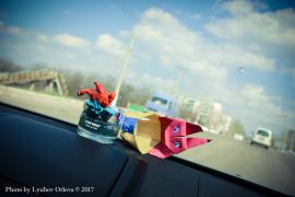 IMG_8679.jpg