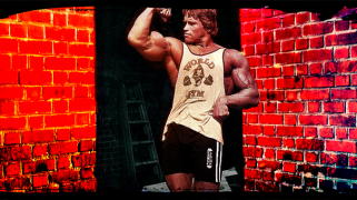 arnold-posing-banner-678x381.png