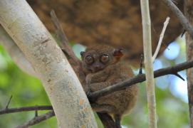 DSC_2717 2.jpg