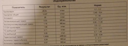 222.jpg