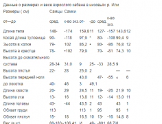 Снимок.PNG
