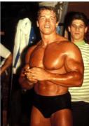Arnold_Schwarzenegger.jpg