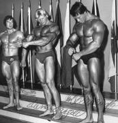 Arnold_Schwarzenegger.jpg