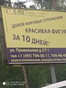 1558446625142384588.jpg