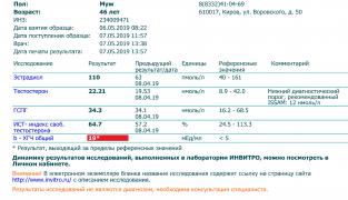 инвитро.jpg