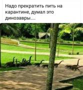 IMG-20200519-WA0002.jpg