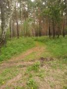 IMG_20200522_143739.jpg