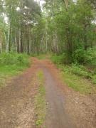 IMG_20200522_143547.jpg