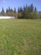 IMG_20200508_154449.jpg