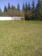 IMG_20200508_154341.jpg