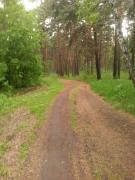 IMG_20200522_143541.jpg