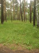 IMG_20200522_143537.jpg