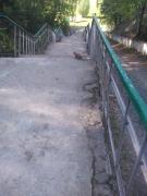 IMG_20200513_165355.jpg