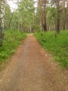 IMG_20200522_143644.jpg
