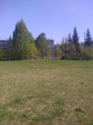 IMG_20200508_154429.jpg