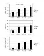 Srinivasan 2015 - Mechanosignaling (bones).jpg