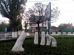 IMG_20200503_184634.jpg