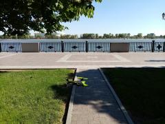 IMG_20200513_160951.jpg
