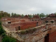IMG_20200504_181646.jpg