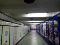 IMG_20200504_185233.jpg