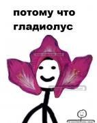 Гладиолус.jpg
