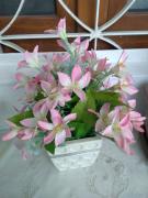 IMG_20210525_151226370.jpg