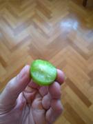 MI_06052021_163838.jpg