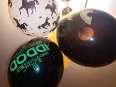 IMG_20210510_190702.jpg