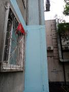 IMG_20210510_142422.jpg