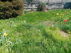IMG_20210502_133711.jpg