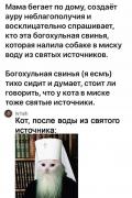 2BAAC8A2-84C6-43C0-9577-8BAE4ADB437C.jpeg
